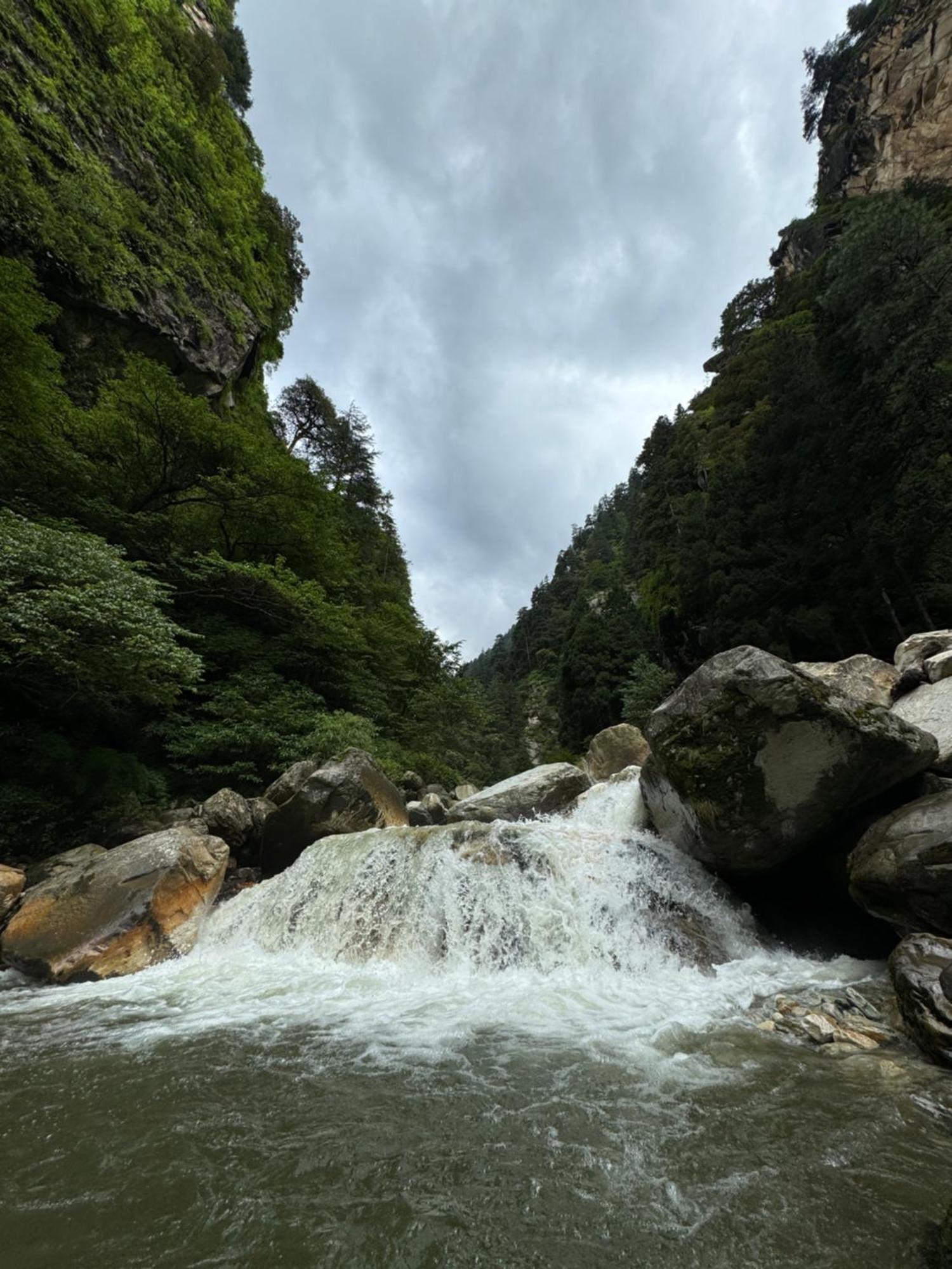 Delight Homestay Kasol Eksteriør billede