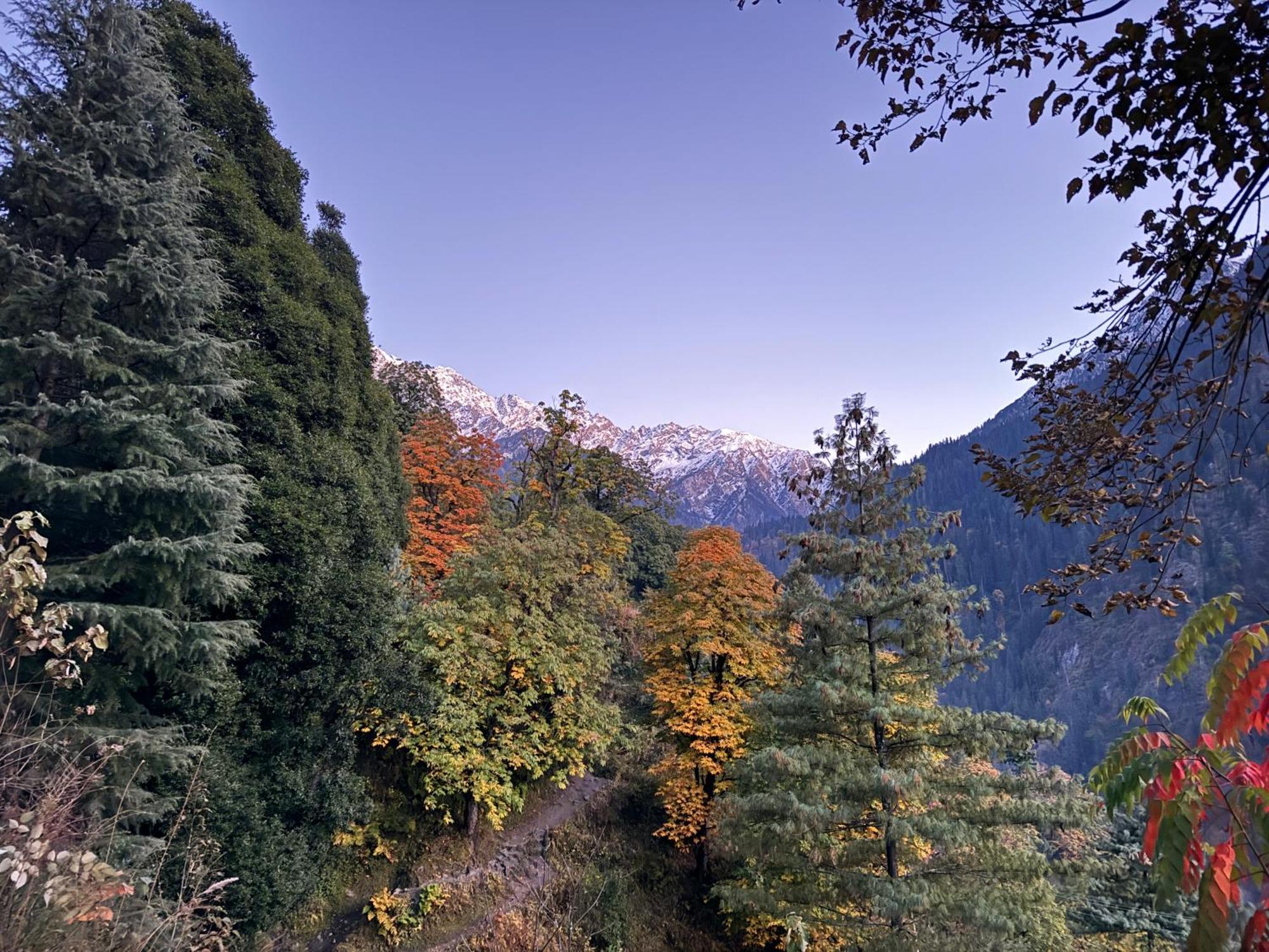 Delight Homestay Kasol Eksteriør billede